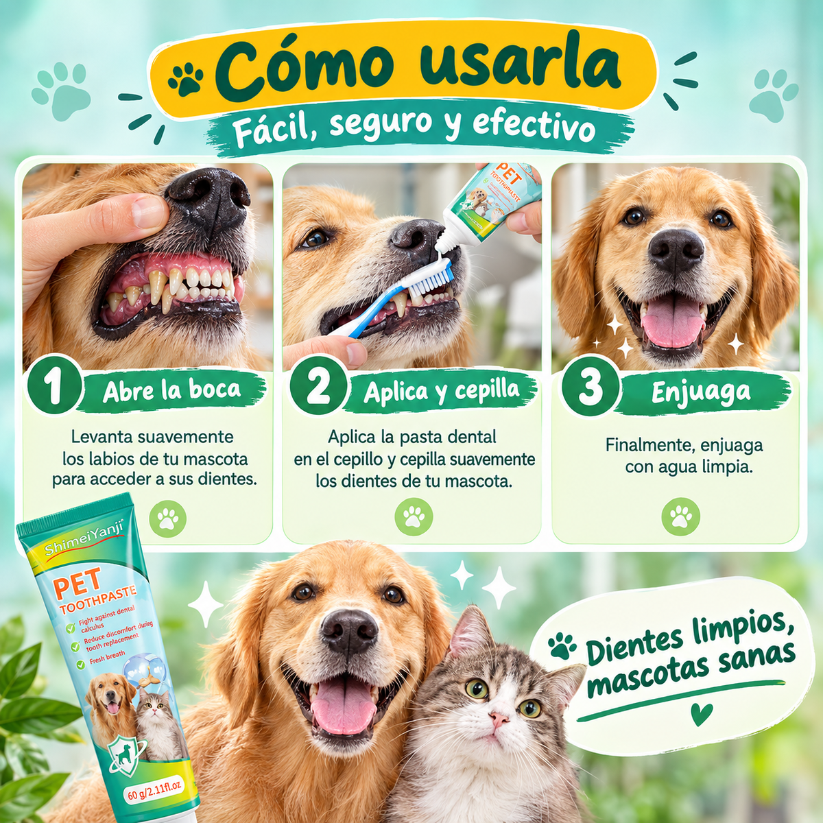 Aplicando la pasta dental a una mascota
