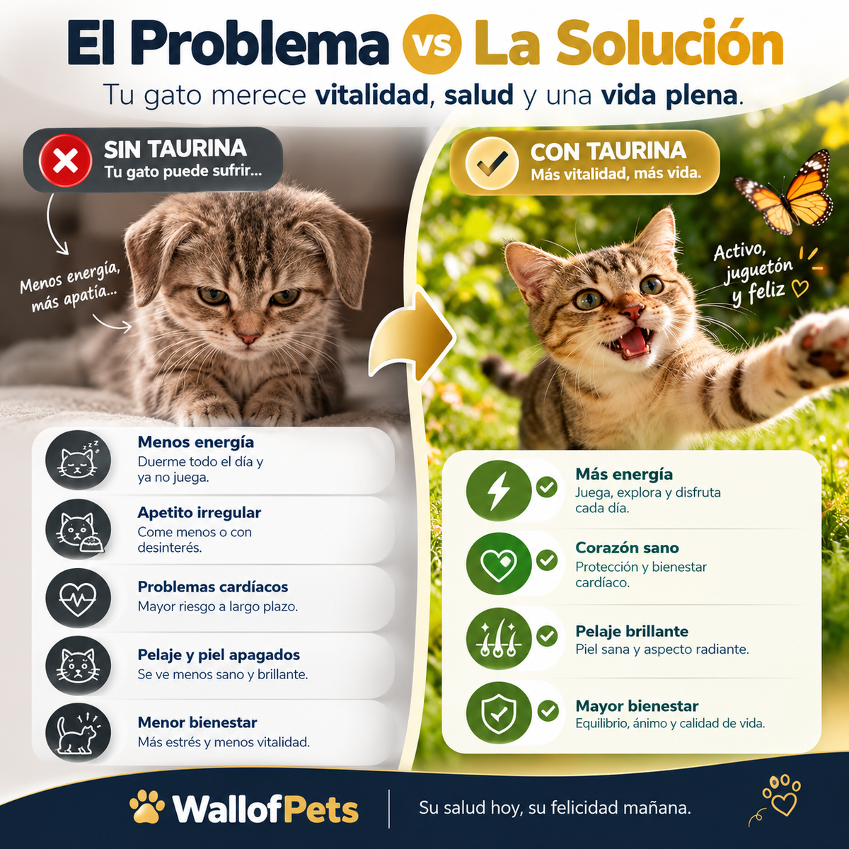 Ingredientes de la fórmula de taurina