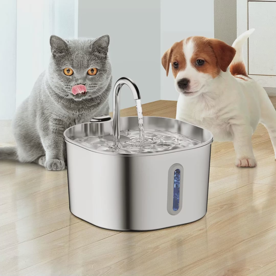 Vídeo: fuente de agua para gatos de acero inoxidable